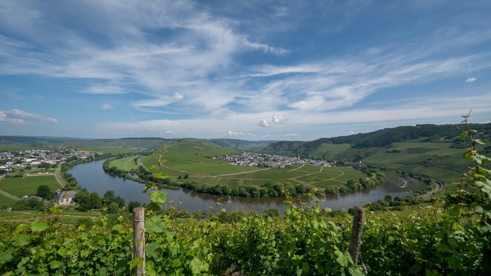 Weinlage darf nicht mehr «Zeller Schwarze Katz» heißen