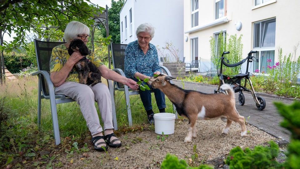 «Glücksmomente» - Was Tiere im Seniorenheim auslösen