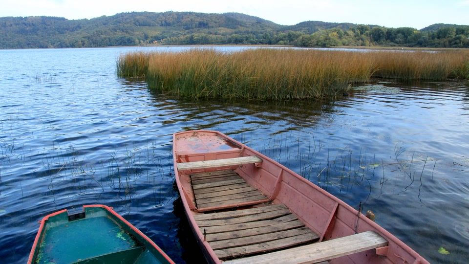 Erde in Bewegung: Der Vulkanismus-Hotspot in der Eifel