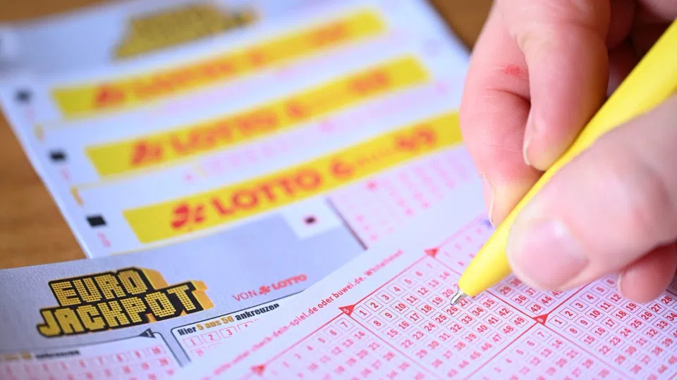 Lotto Rheinland-Pfalz mit bestem Ergebnis seit 17 Jahren