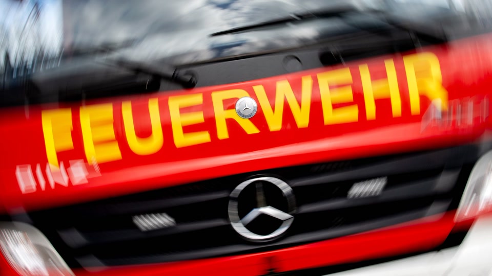 Feuerwehr rückte wegen Waldbrands im Kreis Bad Dürkheim aus