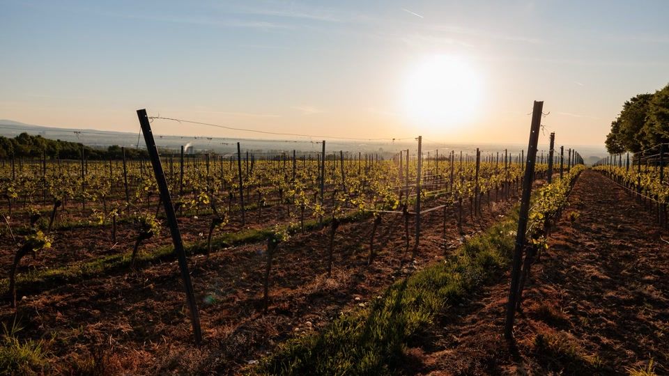 Sonne und teils über 30 Grad zum Ende der Woche
