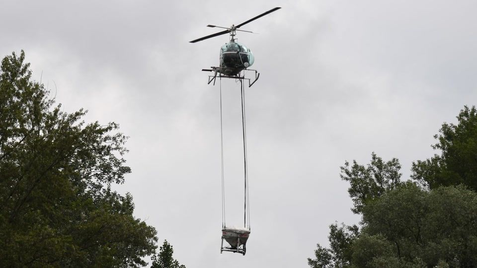Stechmücken am Oberrhein: Der Sommer ist noch nicht gerettet