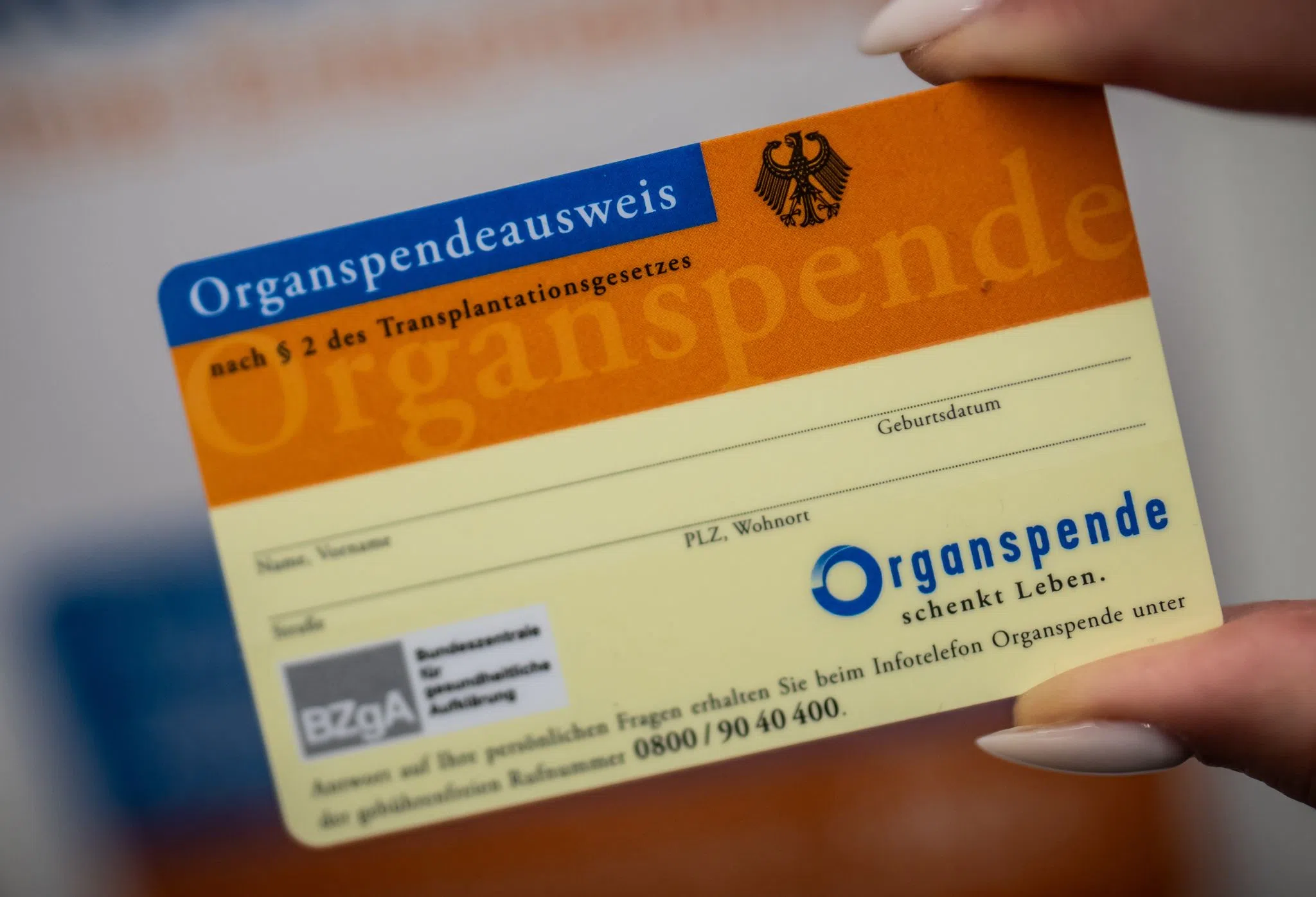 Widerspruchslösung bei Organspende: Neuer Anlauf