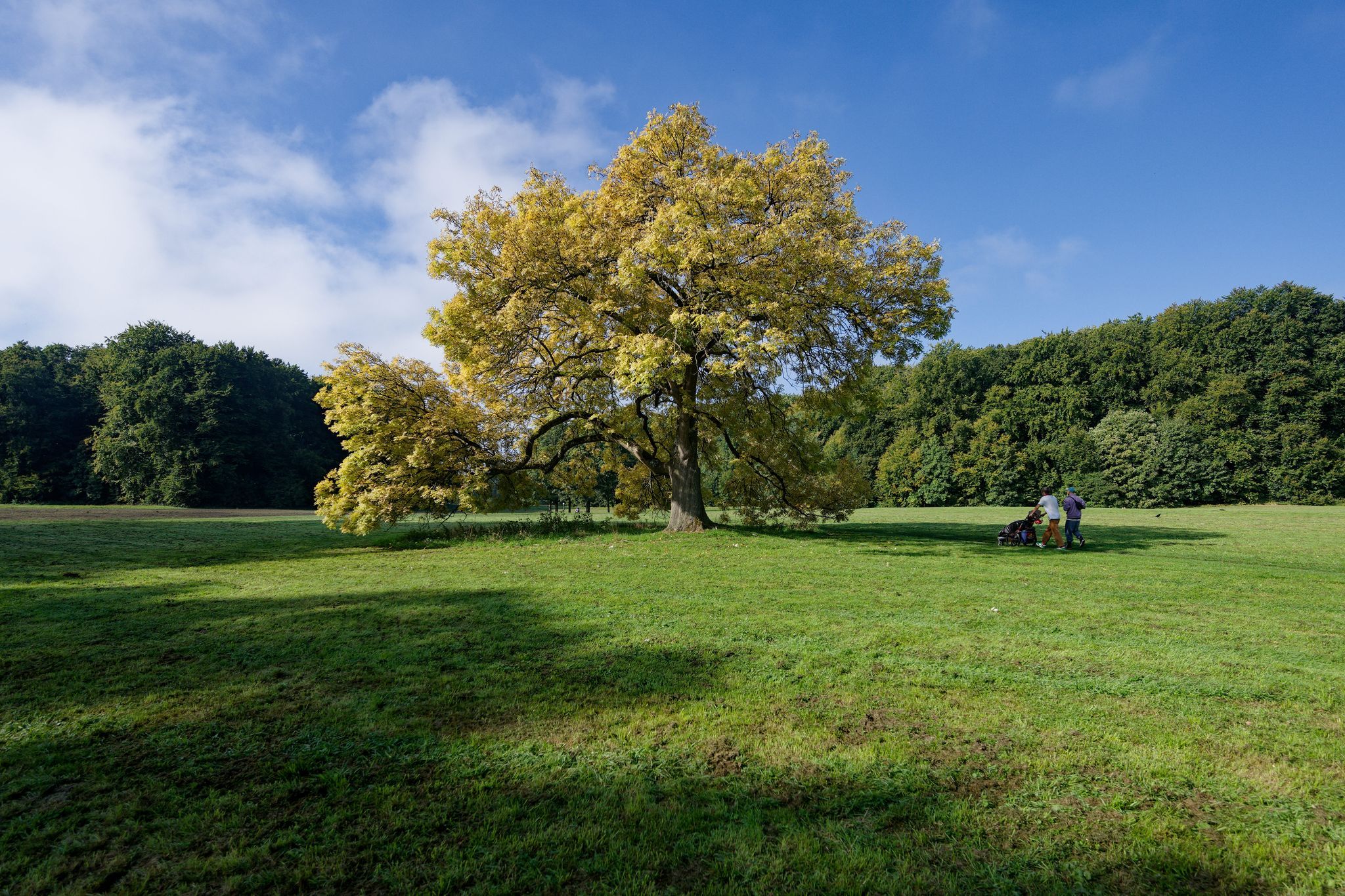 Kühles Herbstwetter in Rheinland-Pfalz und dem Saarland