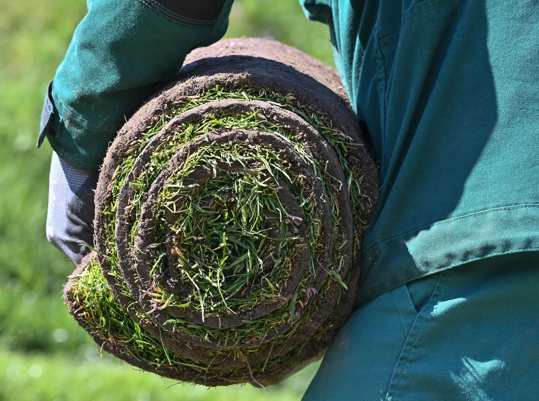 Jobs in Gartenbaubranche sehr beliebt