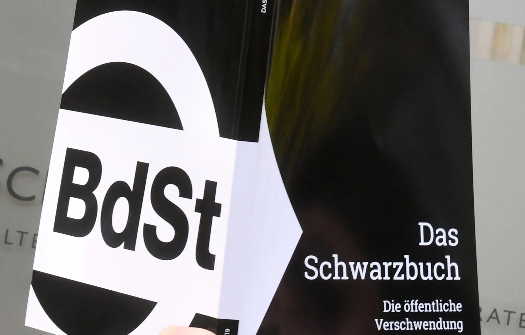 Wo wird in Rheinland-Pfalz Steuergeld verschwendet