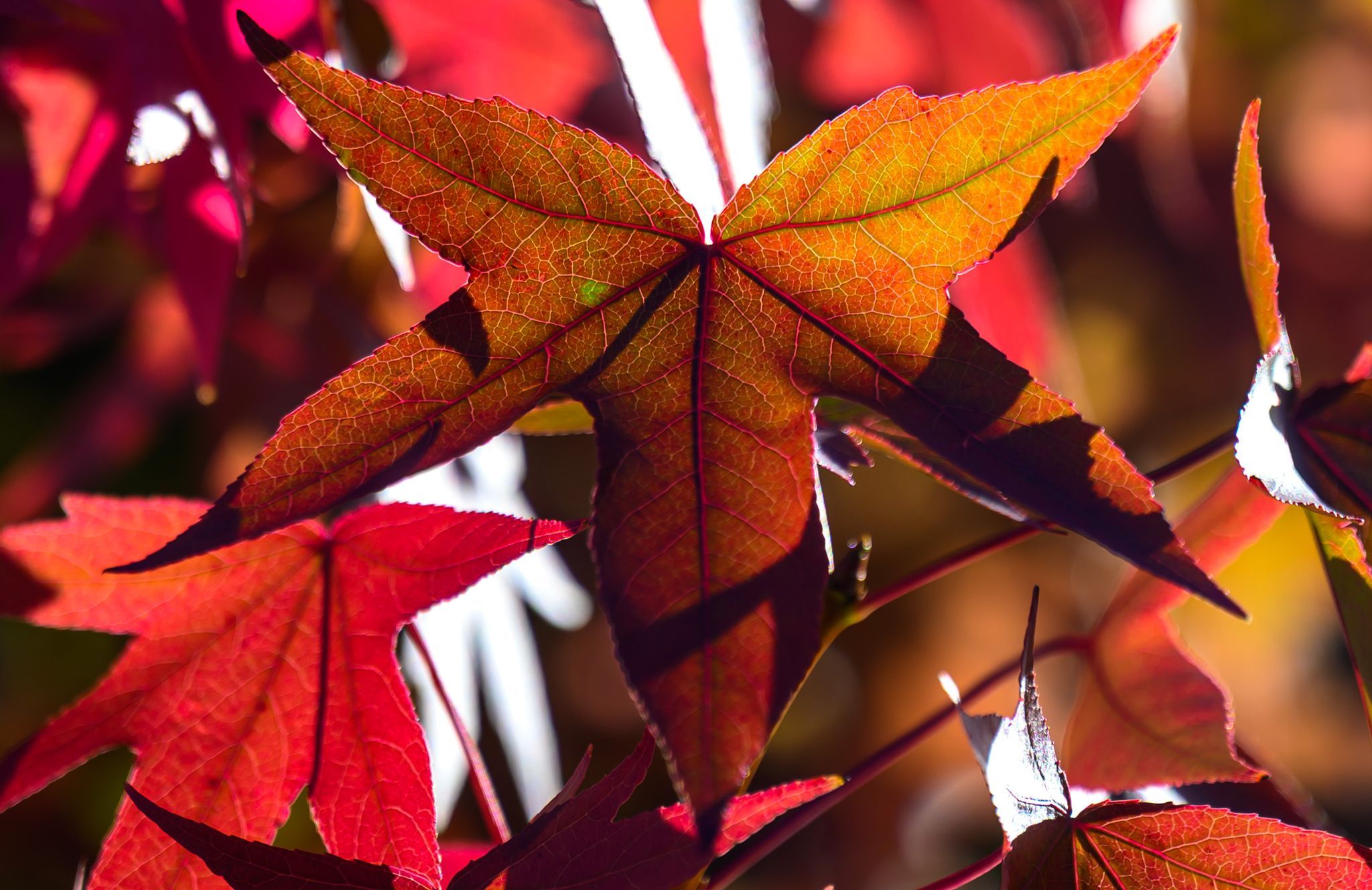 Herbst findet zurück zur 20-Grad-Marke