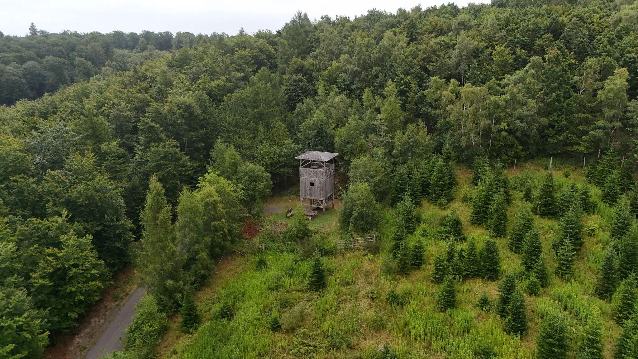 Südwestpfalz mit größtem Waldanteil im Land
