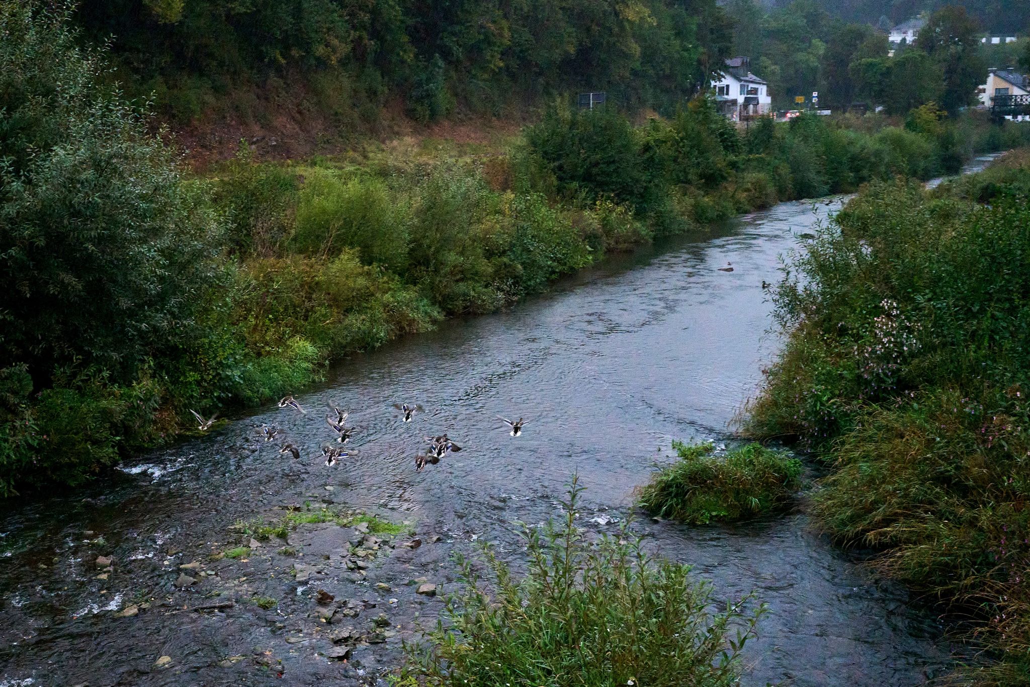 Regen für Landwirte (fast) kein Problem