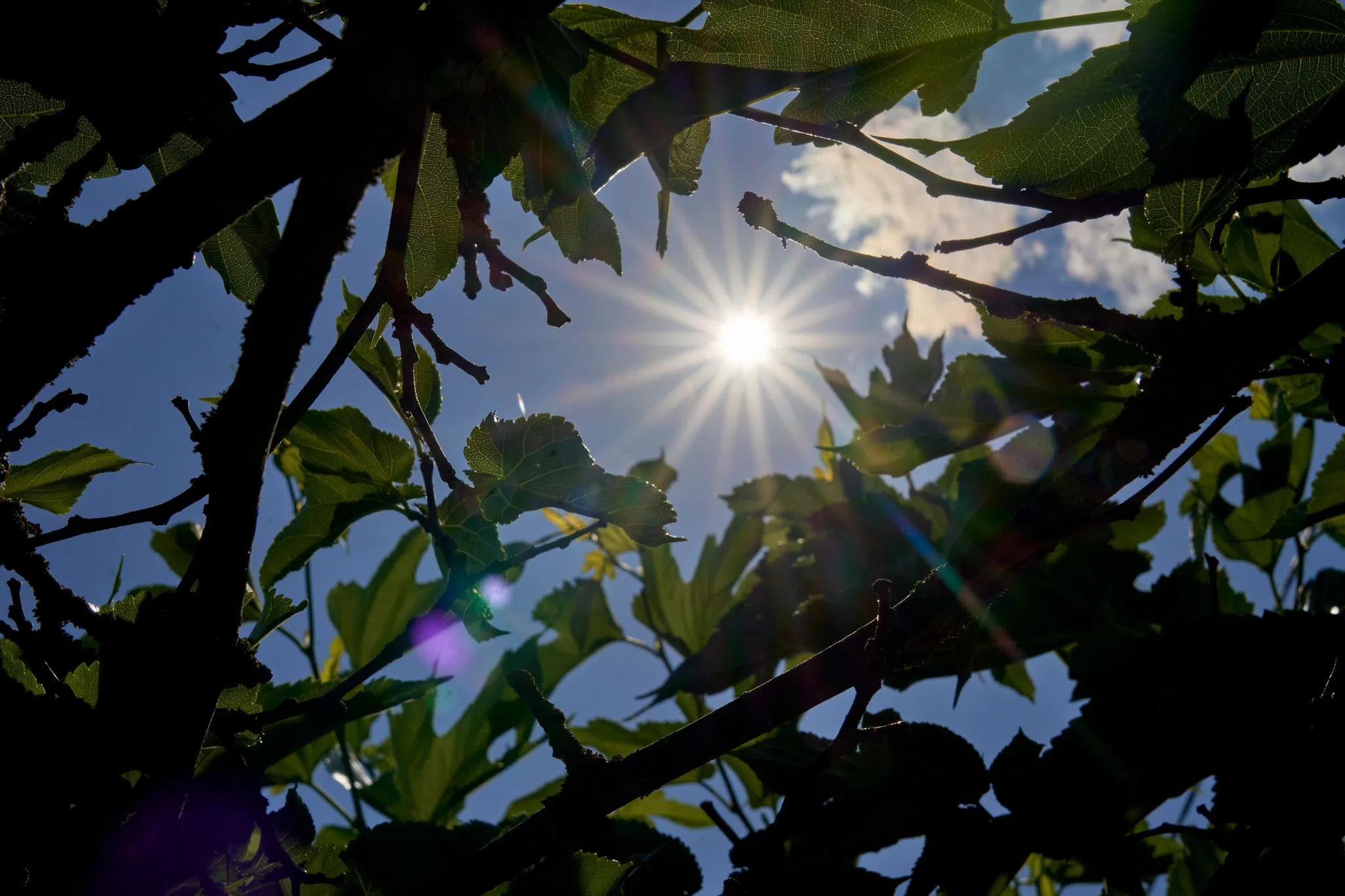Sonniges Wetter am Wochenende
