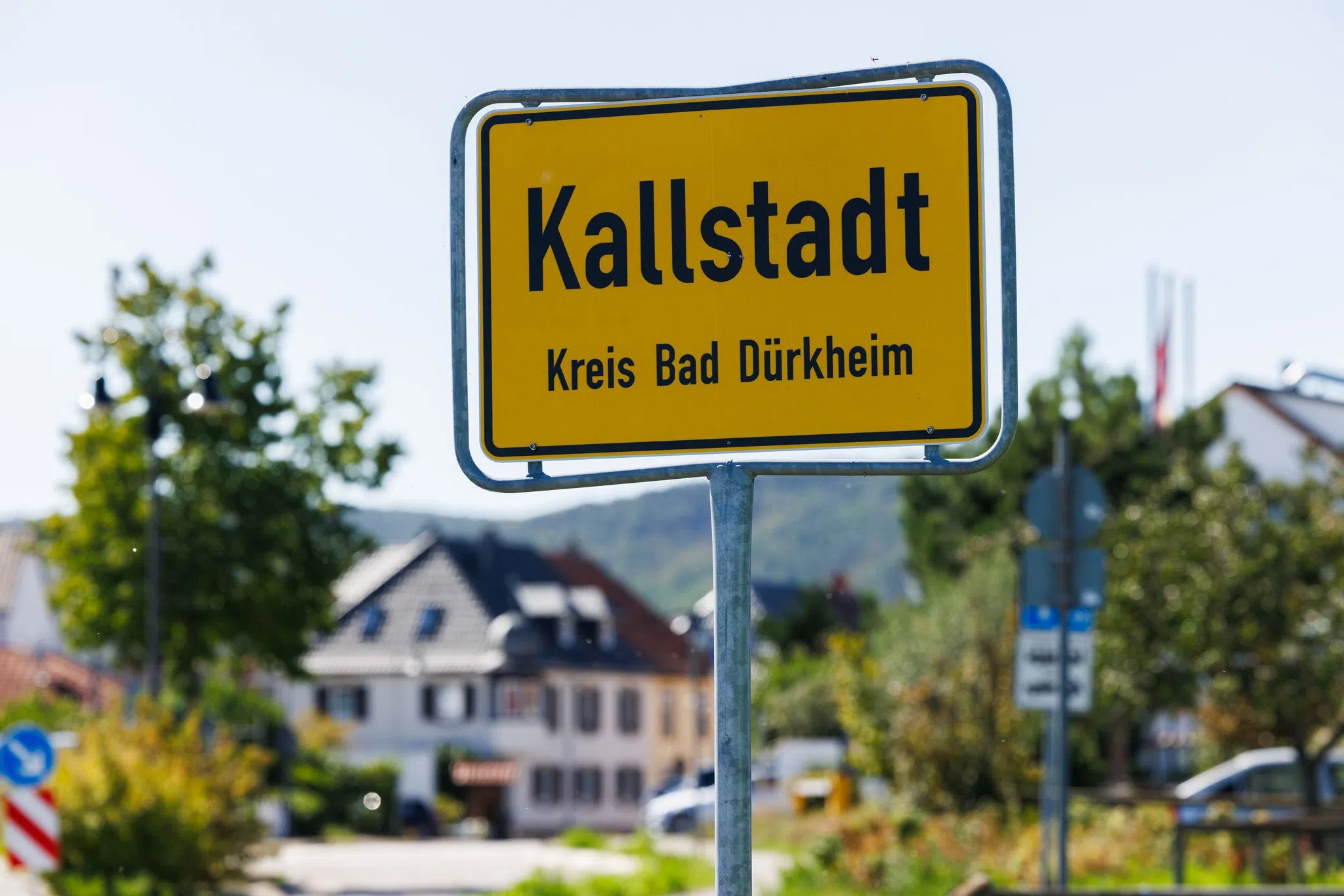 AfD in Rheinland-Pfalz will Trump zum Ehrenbürger machen