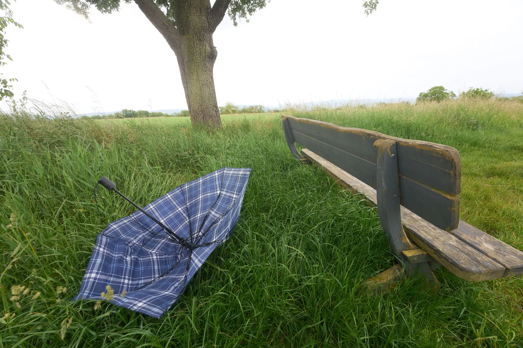 Schauer und viel Wind in Rheinland-Pfalz und dem Saarland