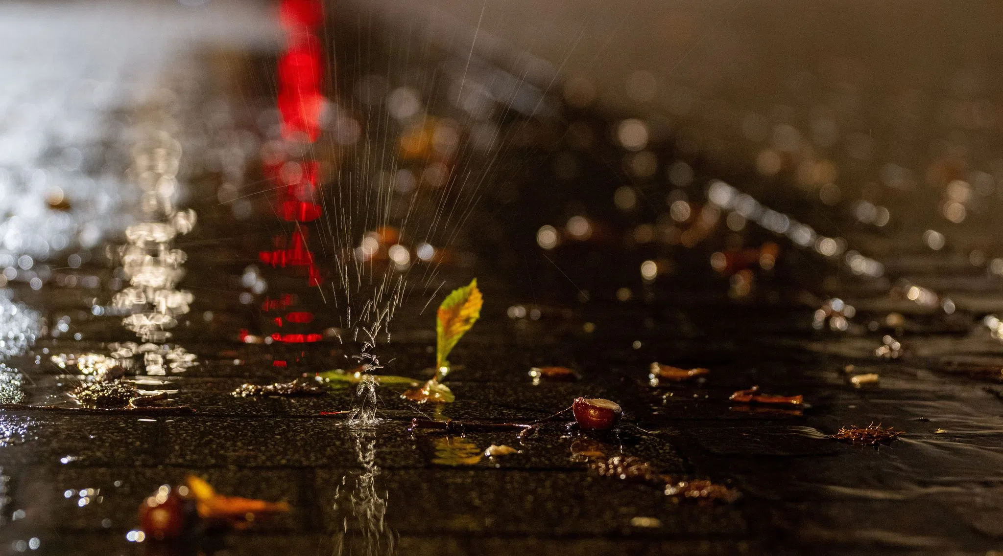 Nasses Herbstwetter in Rheinland-Pfalz und Saarland