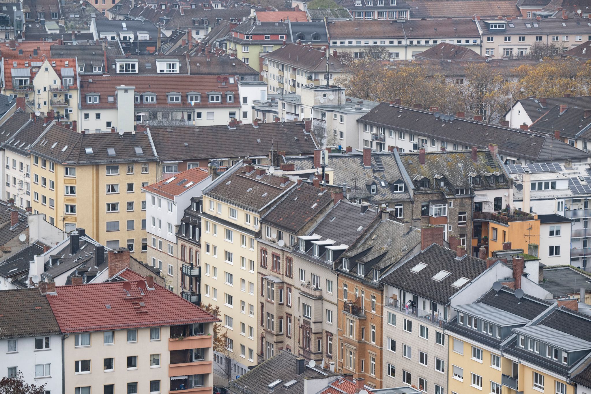 Linke will Mietwucher in Mainz und Ludwigshafen aufdecken