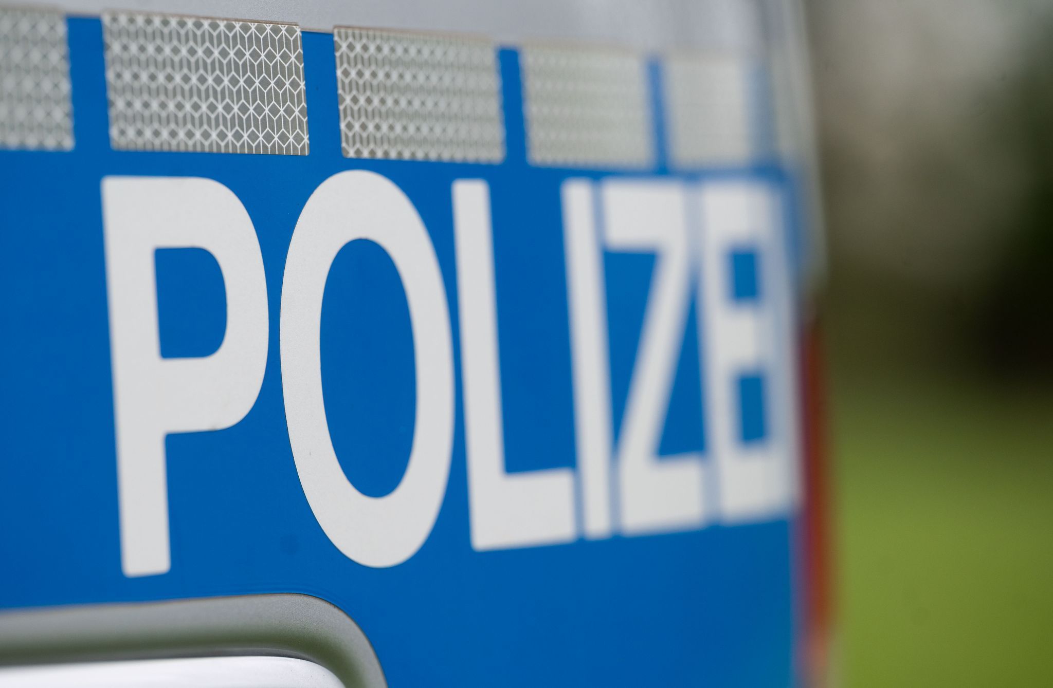 Katzenjunge in Altkleidercontainer geworfen