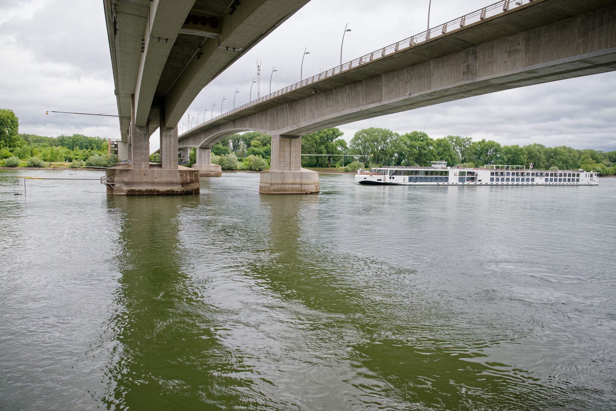 Pilotstudie untersucht Artenvielfalt im Rhein Pilotstudie untersucht Artenvielfalt im Rhein