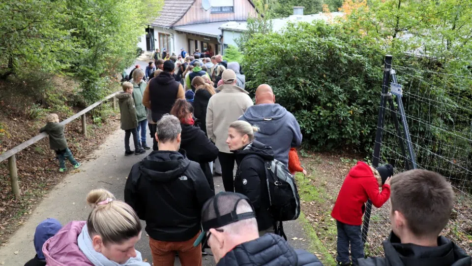 Neustart geglückt: Wildpark Westerwald wieder geöffnet