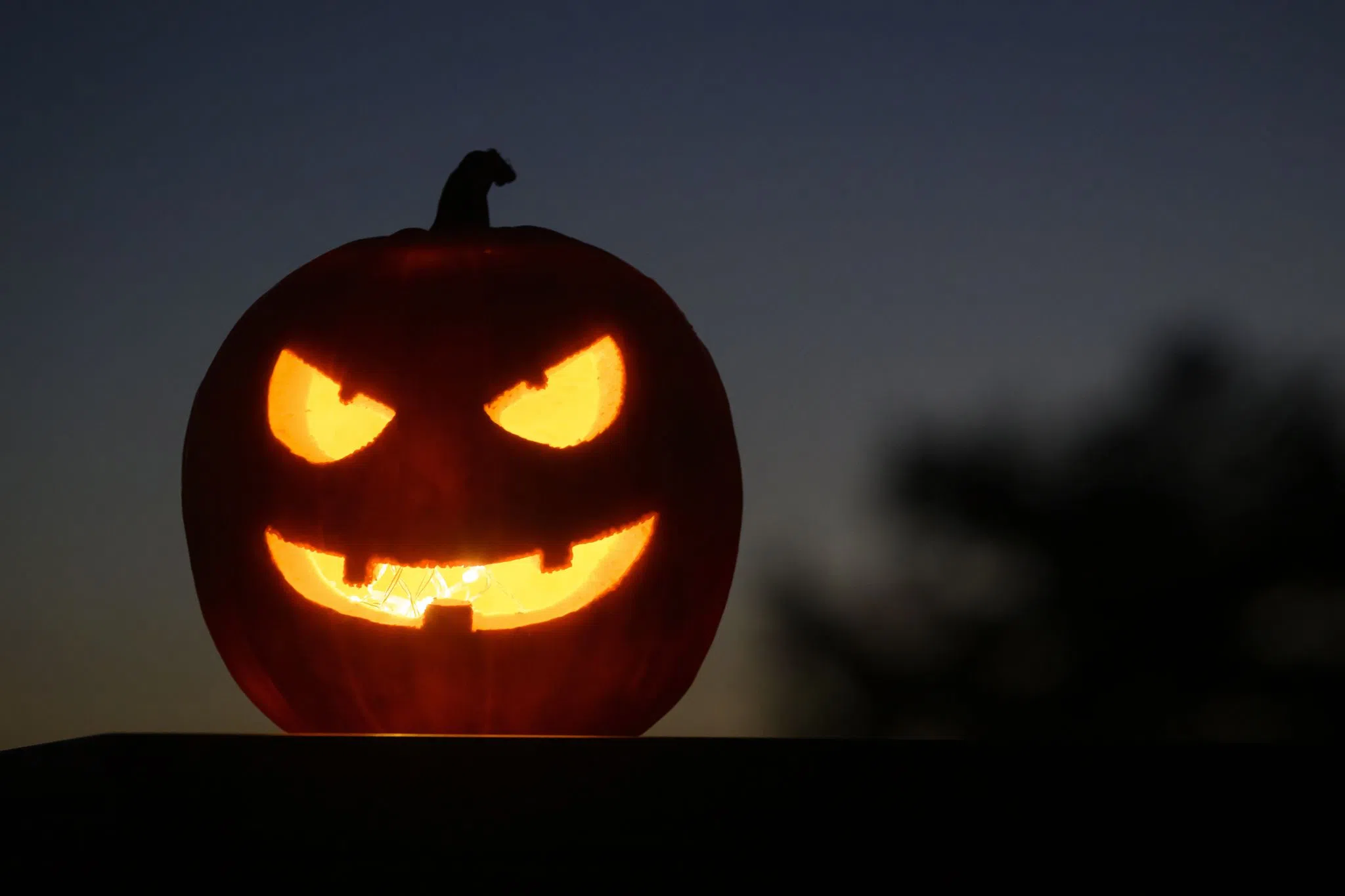 Grusel-Tipps rund um Halloween in Rheinland-Pfalz