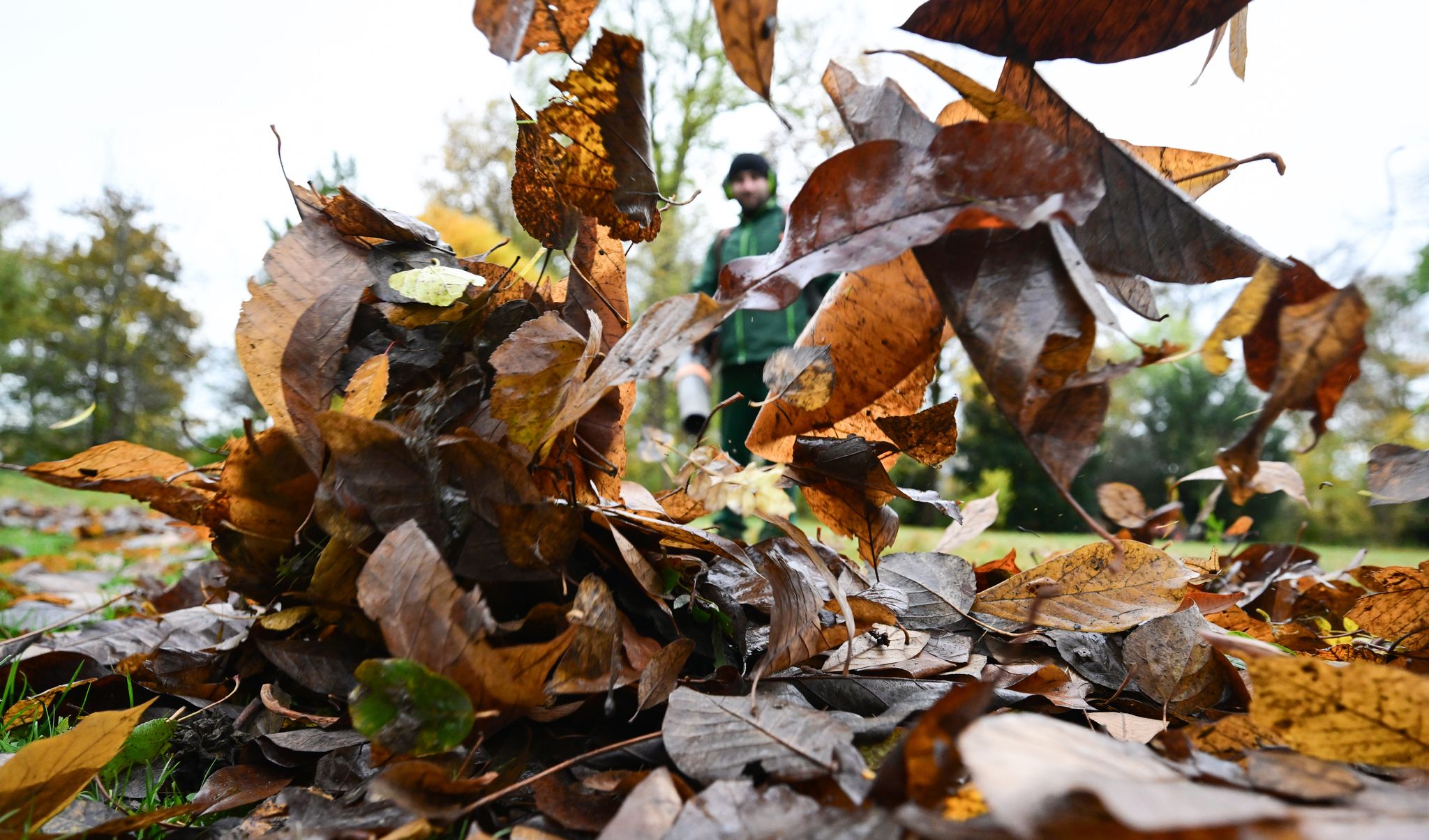 Wenn der Herbst Arbeit macht