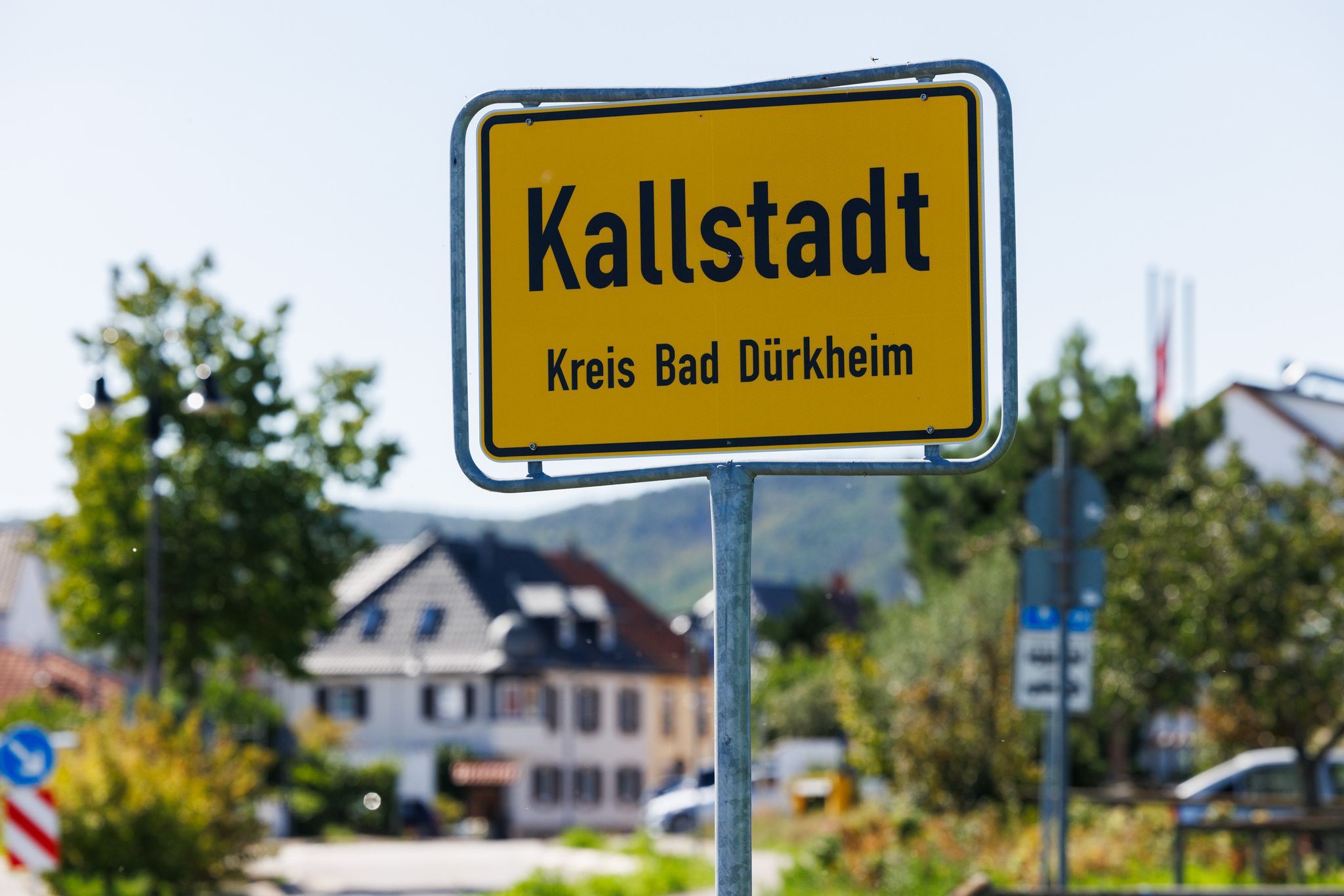 AfD will Trump zum Ehrenbürger von Bad Dürkheim machen
