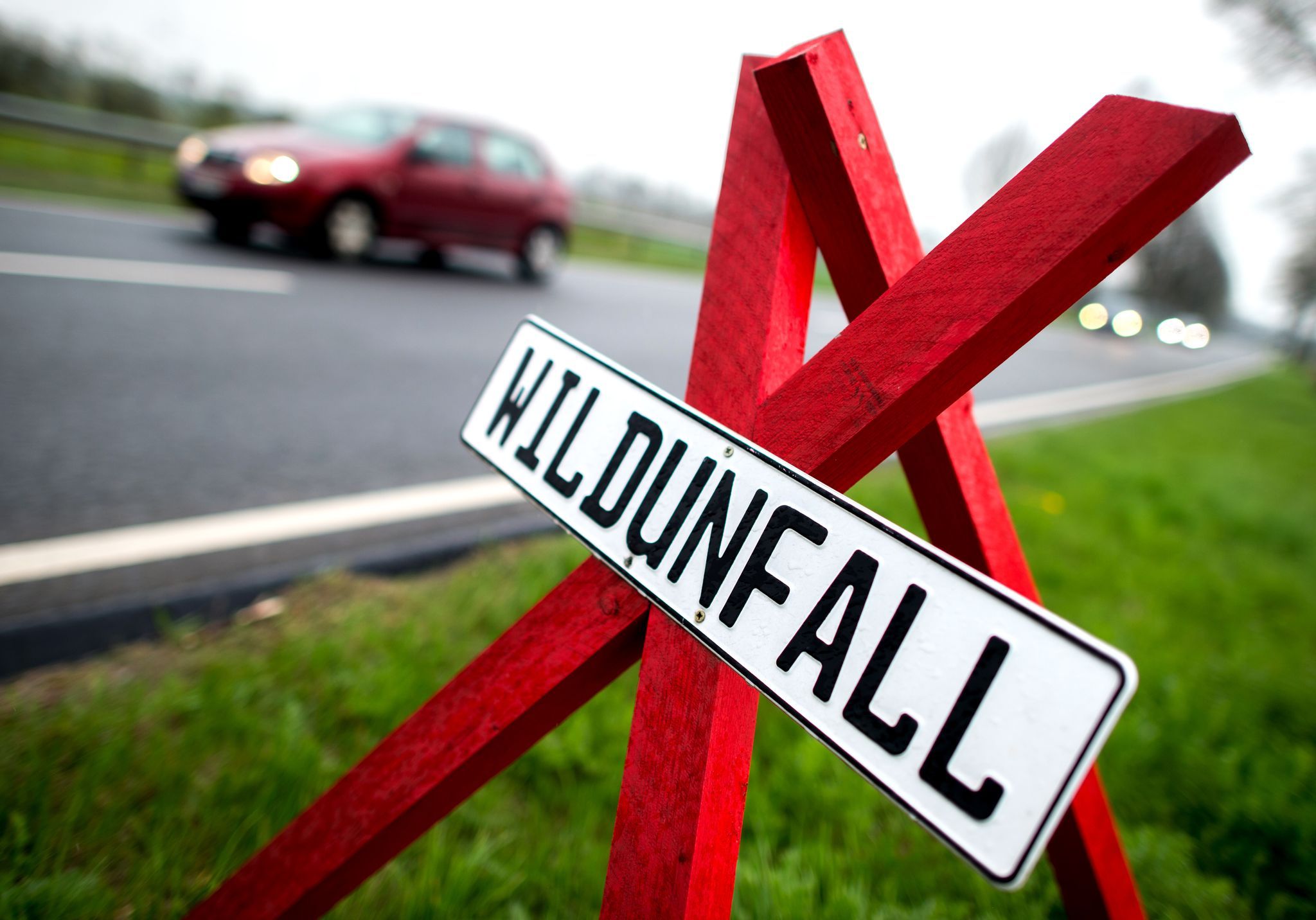 Gefahr von Wildunfällen steigt im Herbst