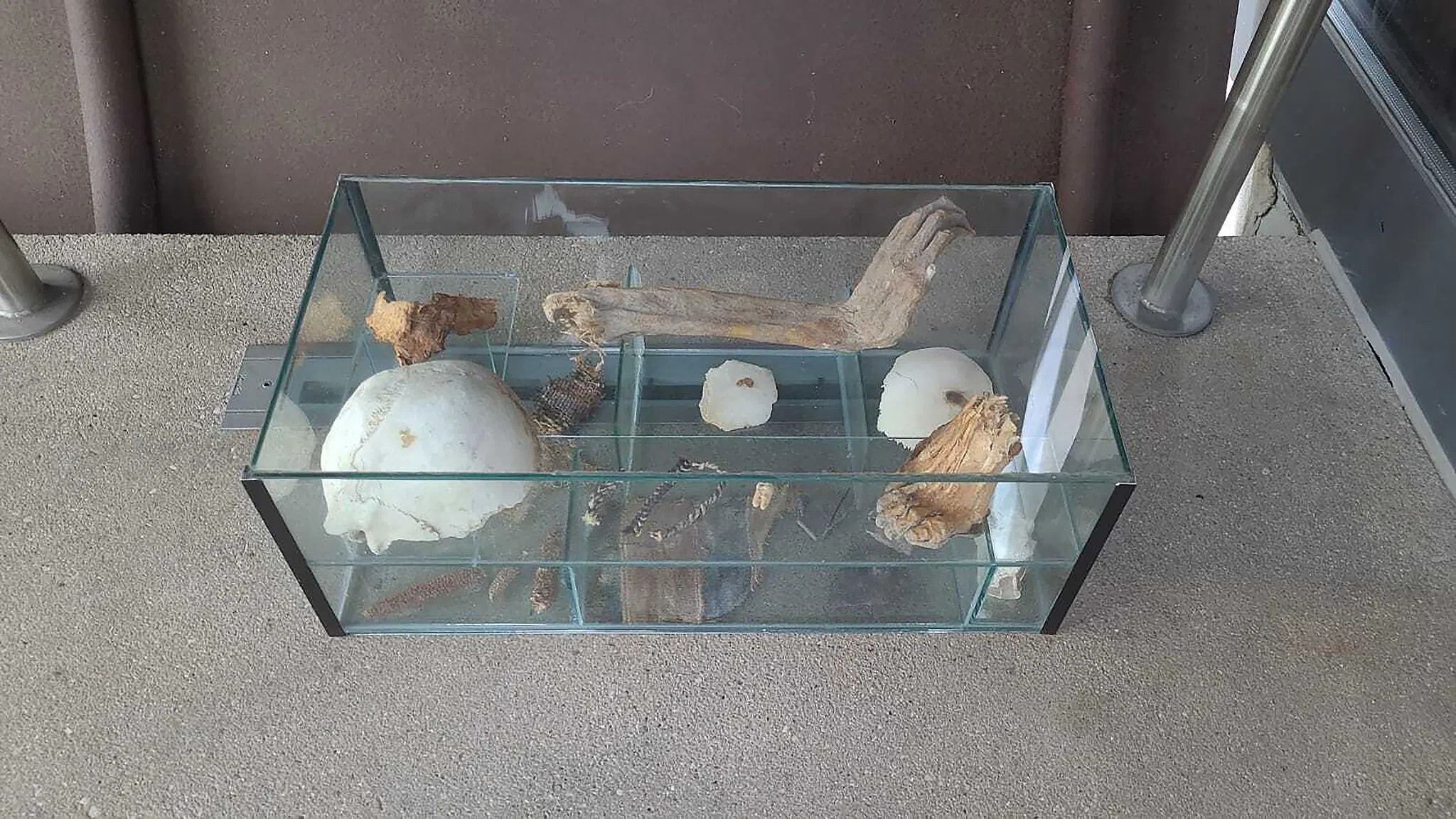 Unbekannte stellen Vitrine mit menschlichen Überresten ab
