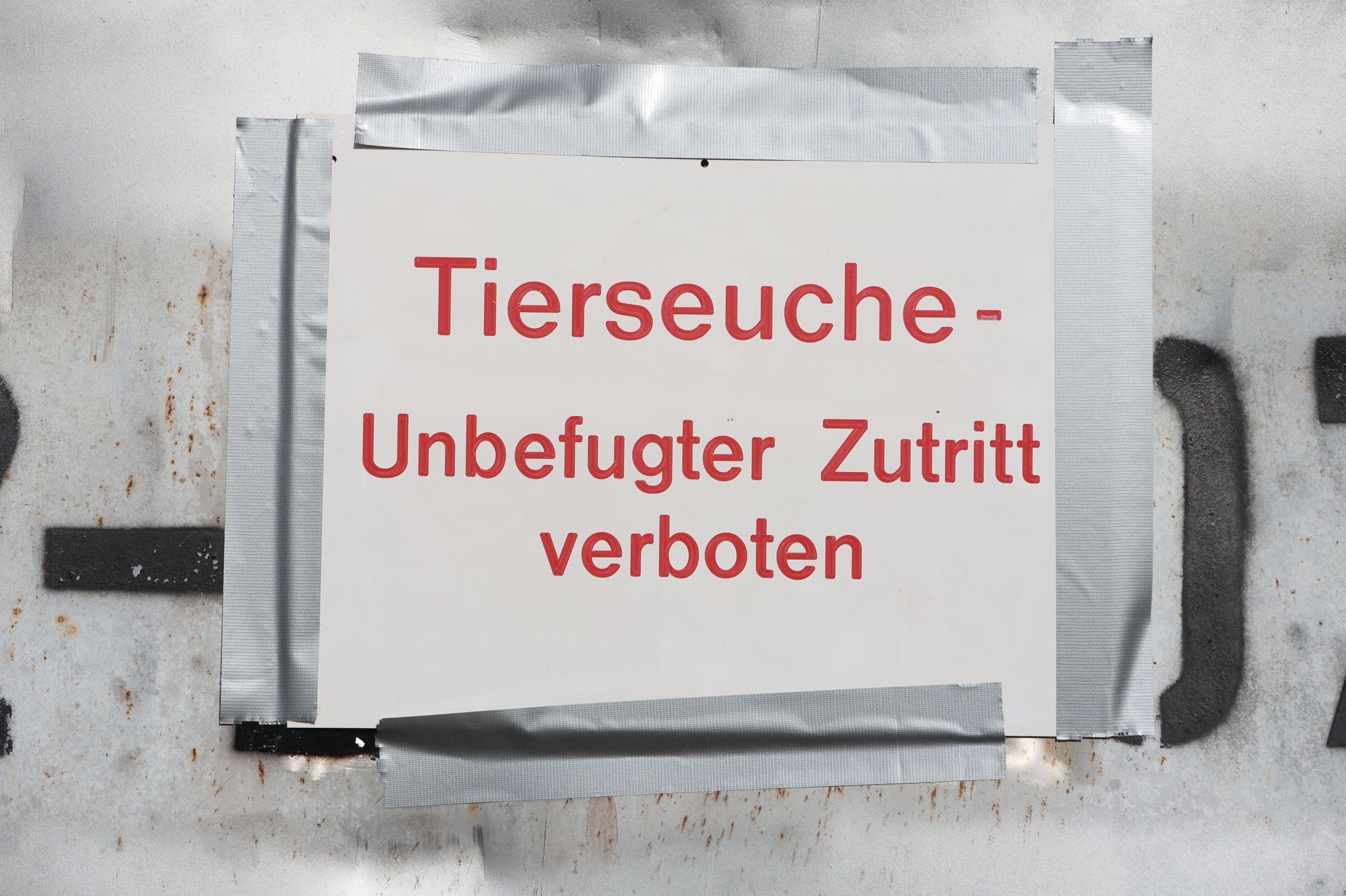 Vogelgrippe jetzt auch im Saarland nachgewiesen