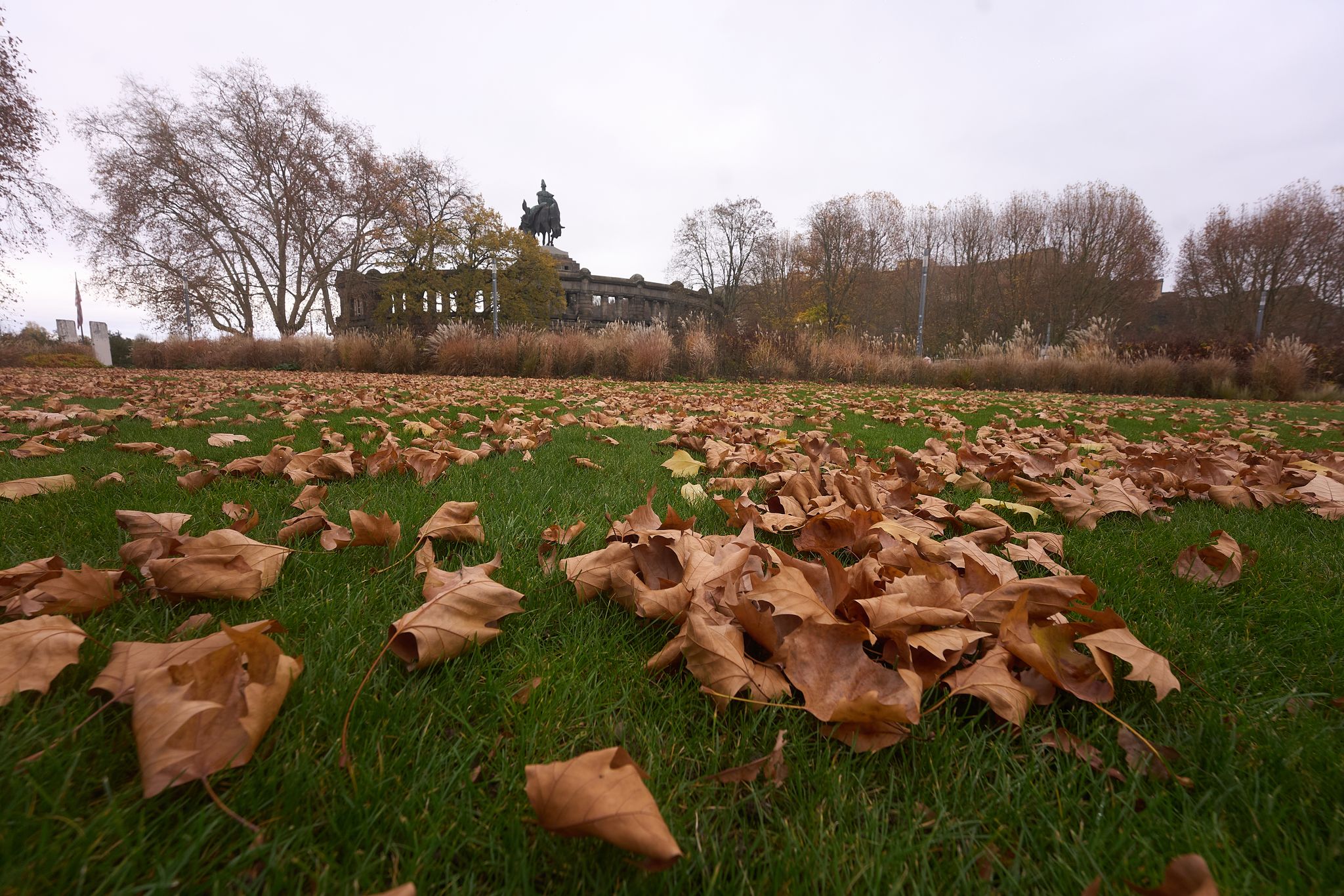 Herbstwetter in Rheinland-Pfalz deutlich zu nass und zu mild