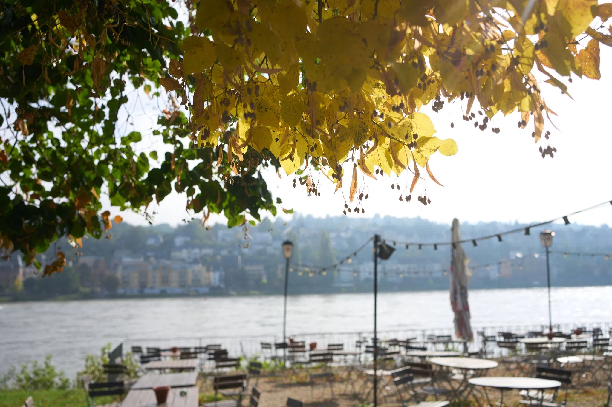 Sehr milde Temperaturen in Rheinland-Pfalz und Saarland