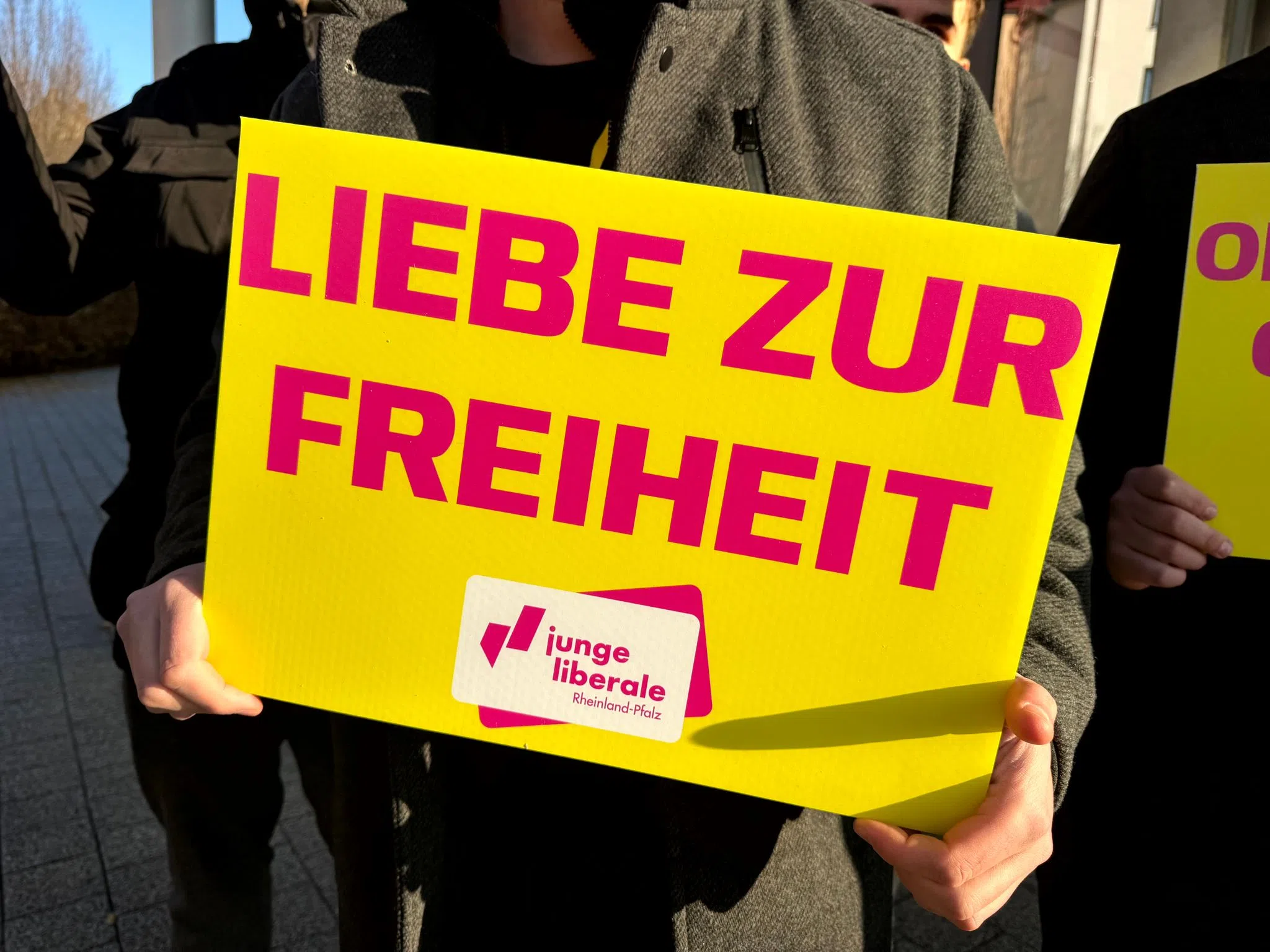 FDP fordert «Handwerksgymnasium» und internationale Schule