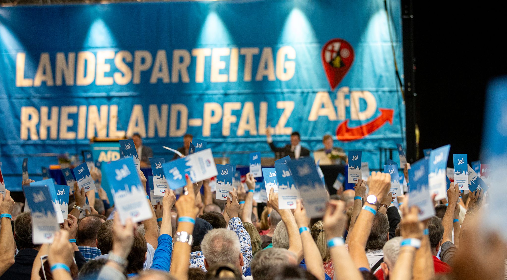 Rheinland-pfälzische AfD kommt zu Landesparteitag zusammen Rheinland-pfälzische AfD kommt zu Landesparteitag zusammen