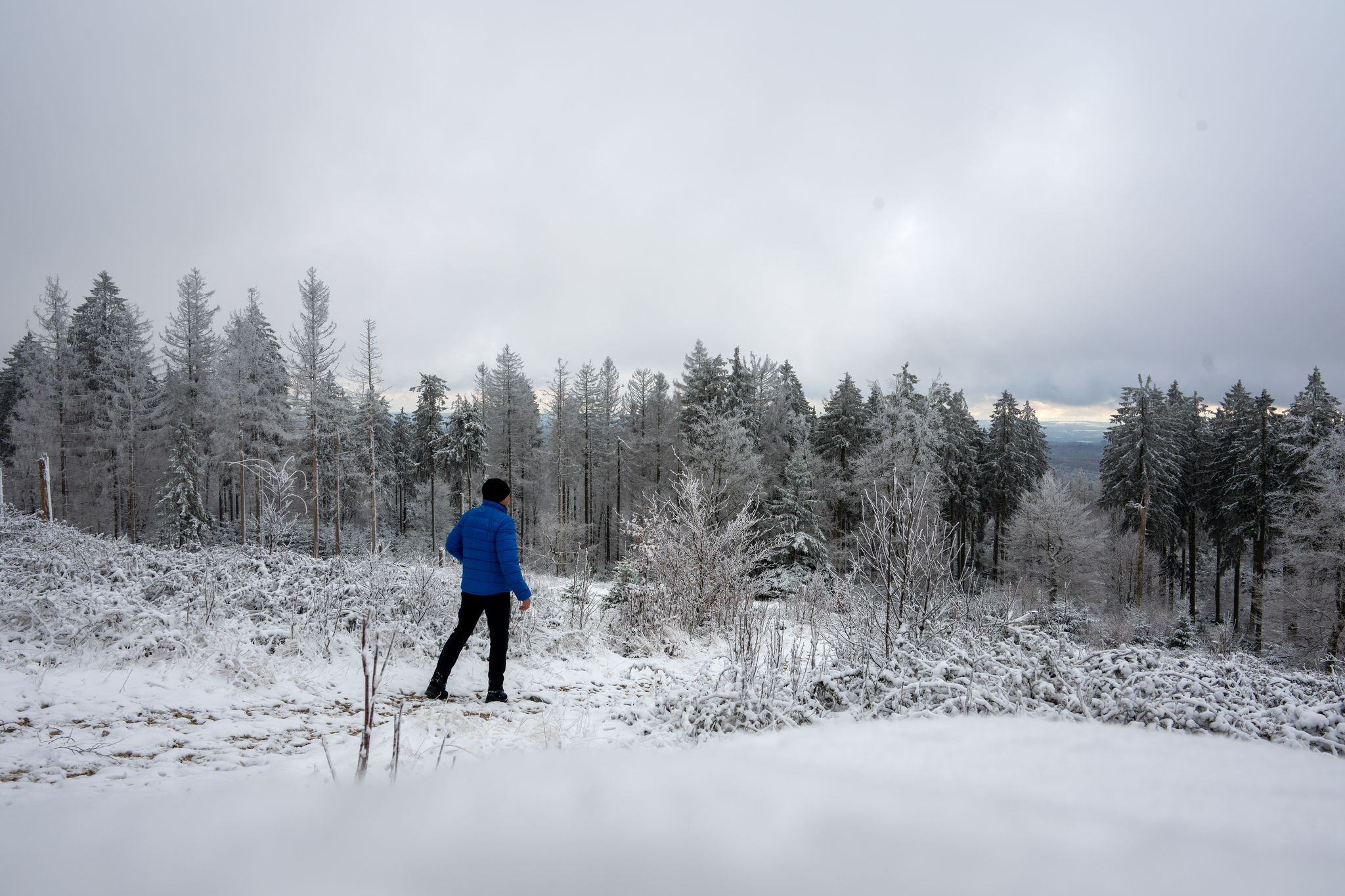 Wintereinbruch - erster Schnee am Erbeskopf