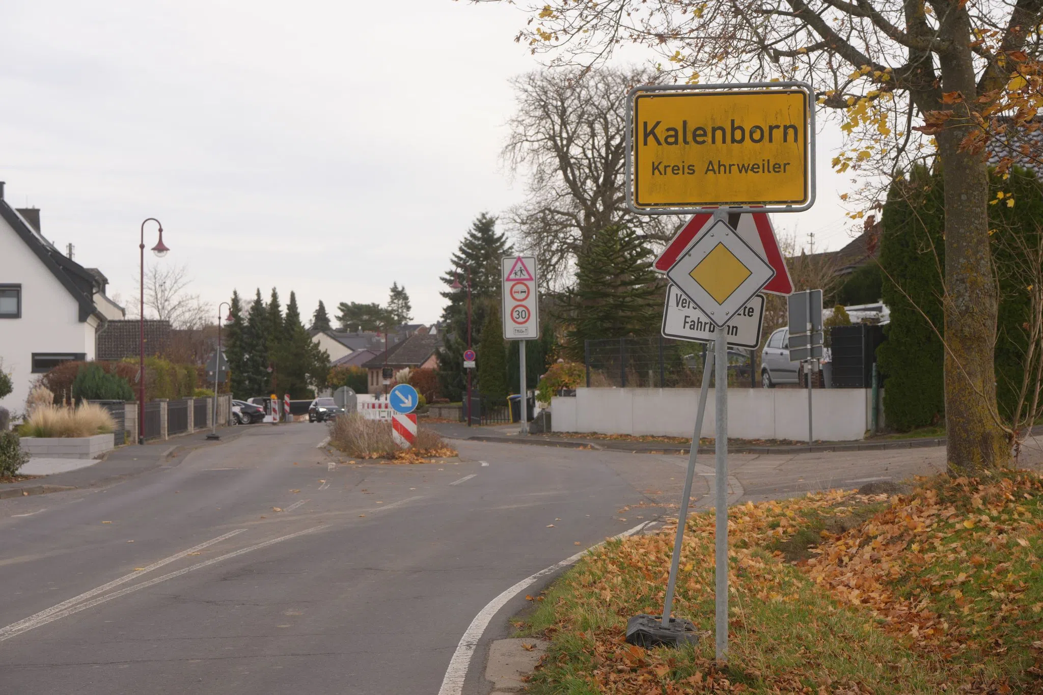 Nach Sichtung vorerst keine Spur von mutmaßlicher Großkatze