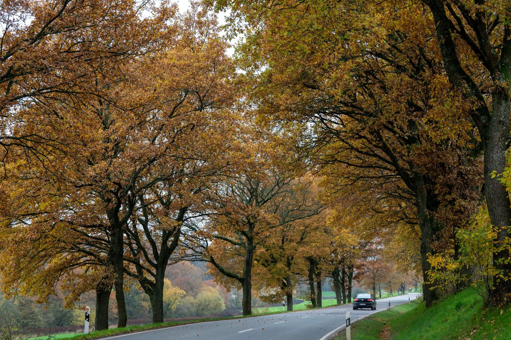 Herbst zeigt sich von seiner grauen Seite