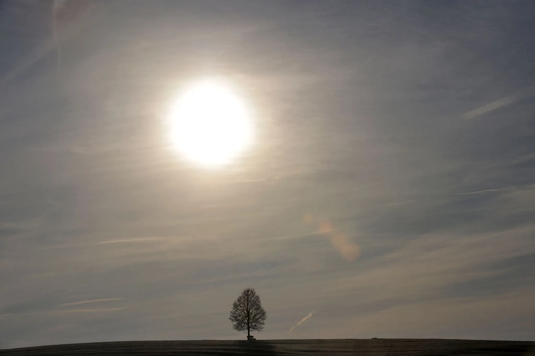 DWD erwartet nur wenige Schneeflocken an Weihnachten