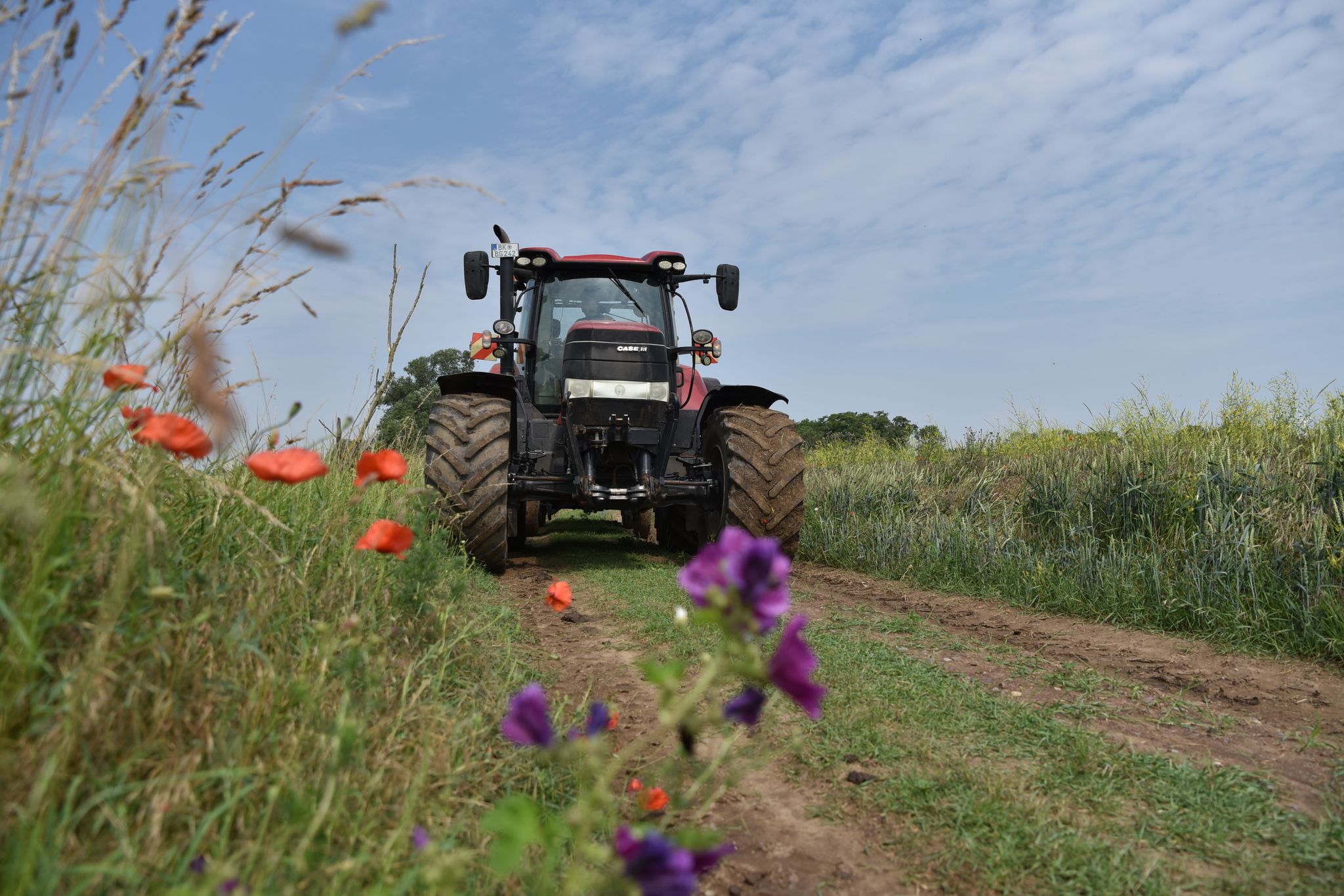 Wie Umweltschutz und Landwirte Artenschutz stärken wollen