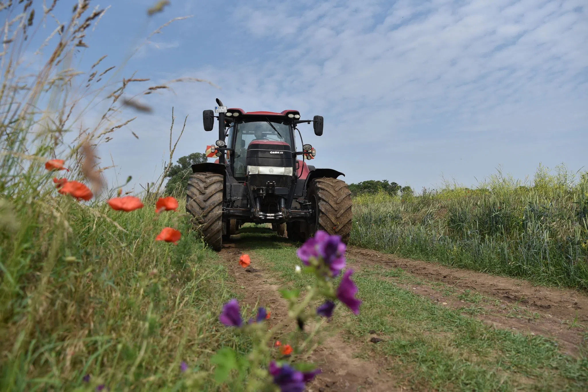 Umweltschutz und Landwirtschaft reichen sich die Hand