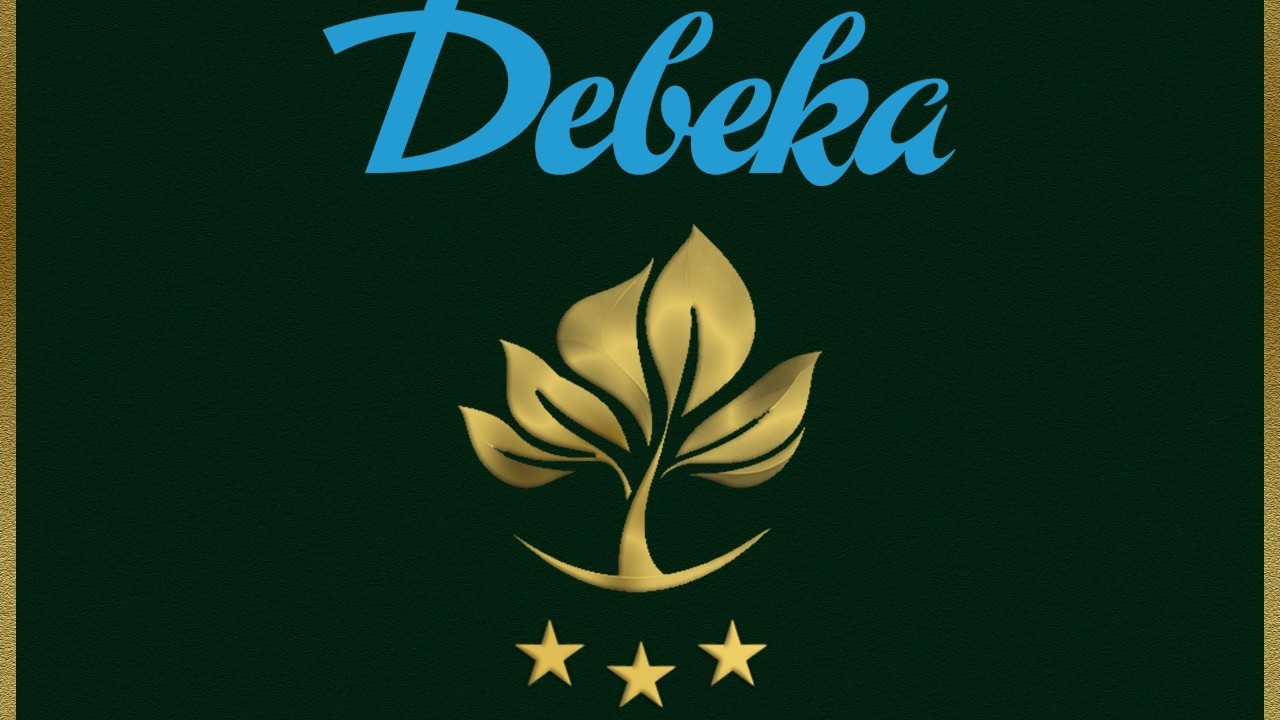 Debeka erhält Goldenes Siegel für Nachhaltigkeit 2024