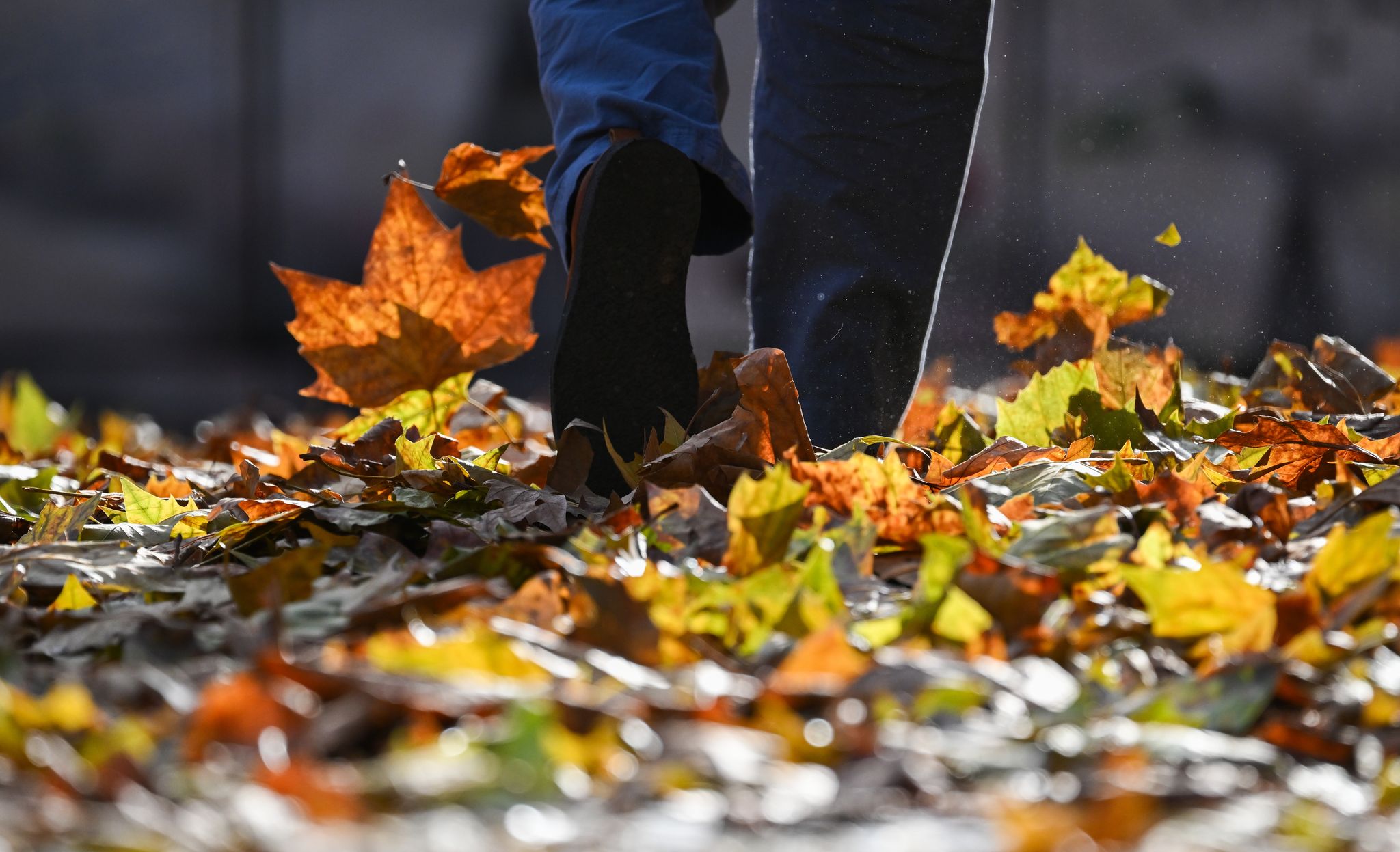 Heiteres Wetter zum Wochenstart in Rheinland-Pfalz Heiteres Wetter zum Wochenstart in Rheinland-Pfalz