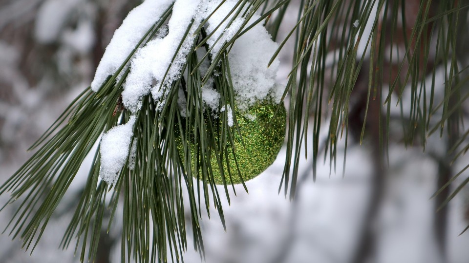 Rheinland-Pfalz – Wetter an Weihnachten 2025 Rheinland-Pfalz – Wetter an Weihnachten 2025