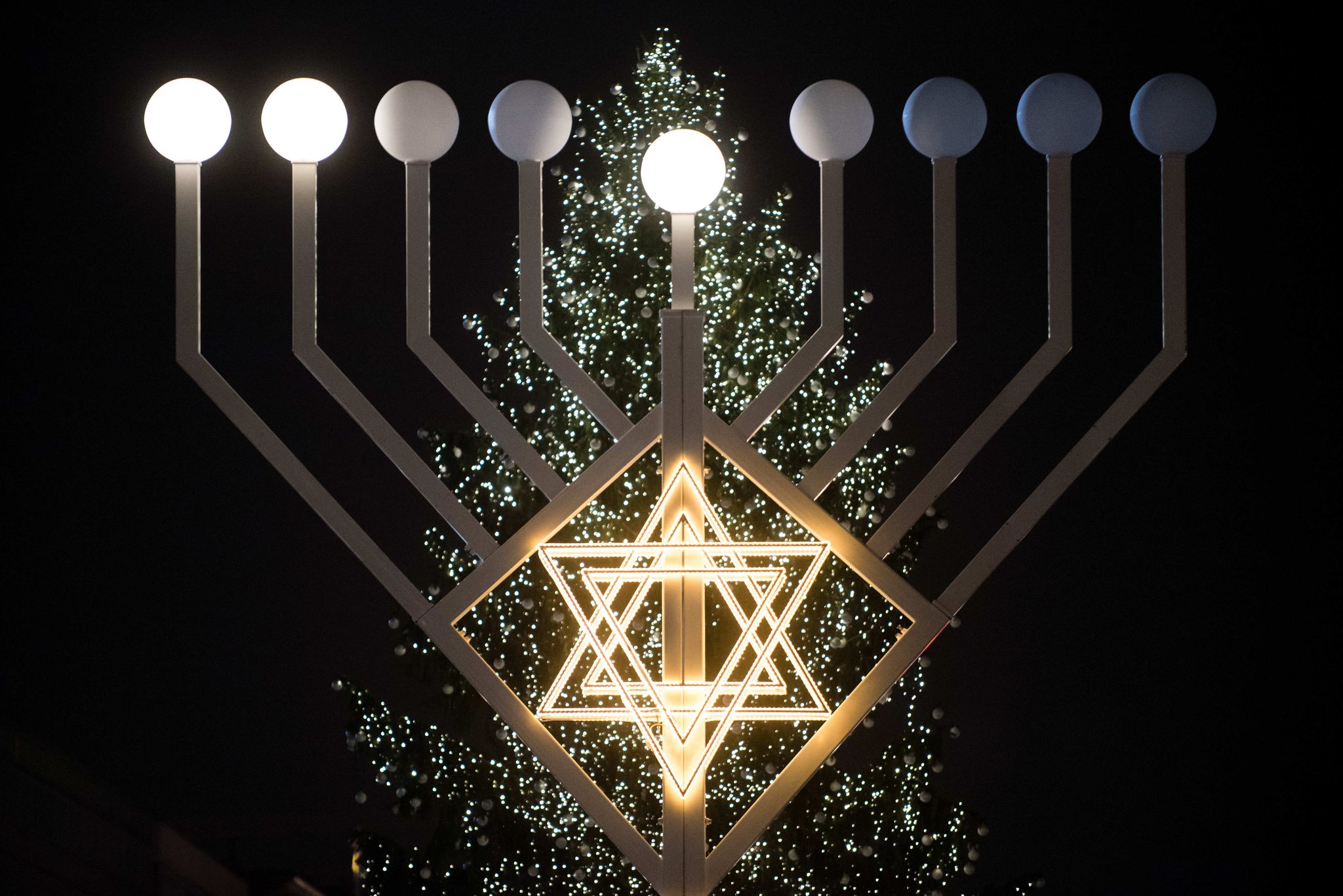 Mainz feiert Chanukka – Zeichen für jüdisches Leben gesetzt