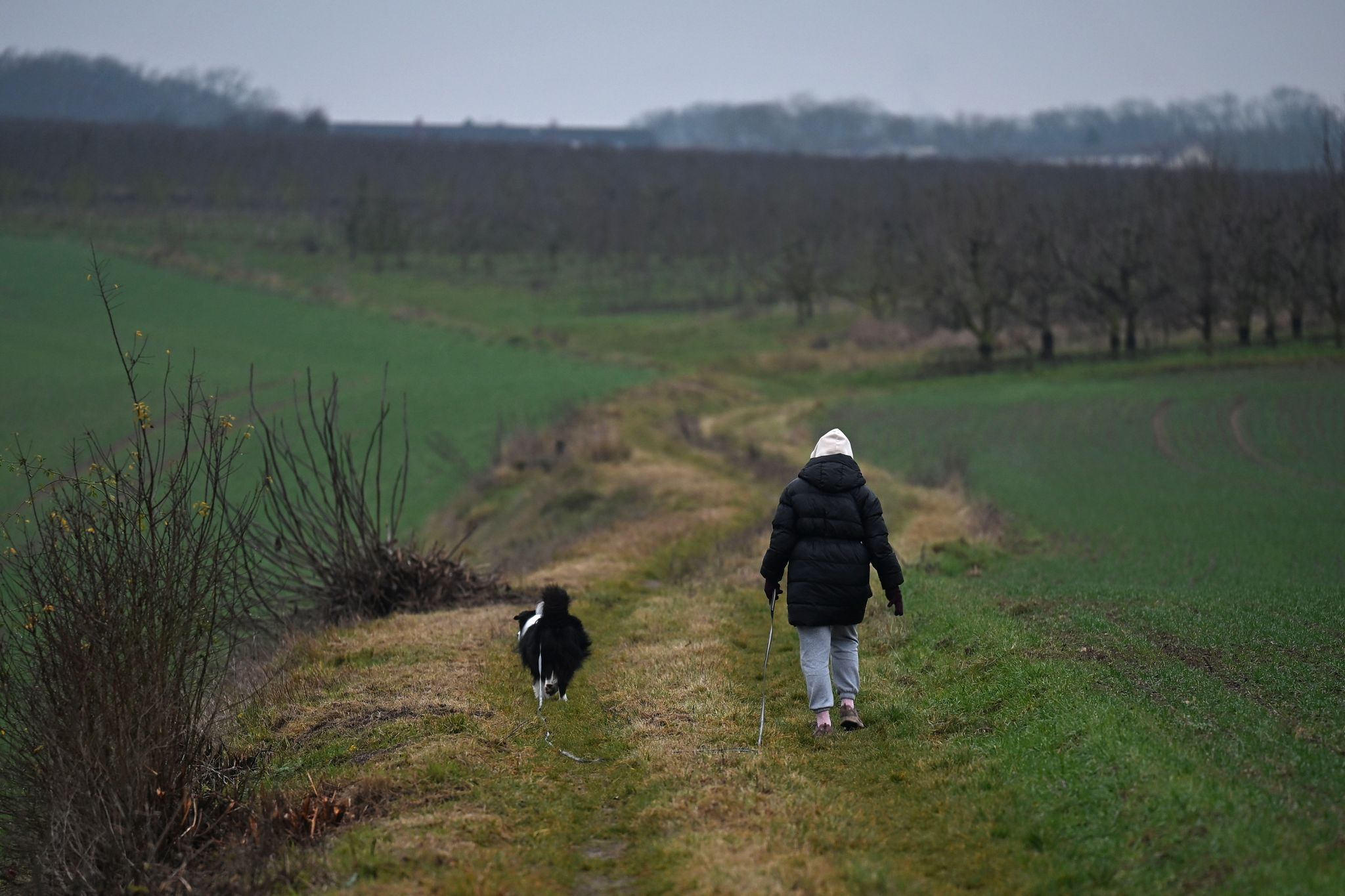 Wolken und Regen in Rheinland-Pfalz und dem Saarland