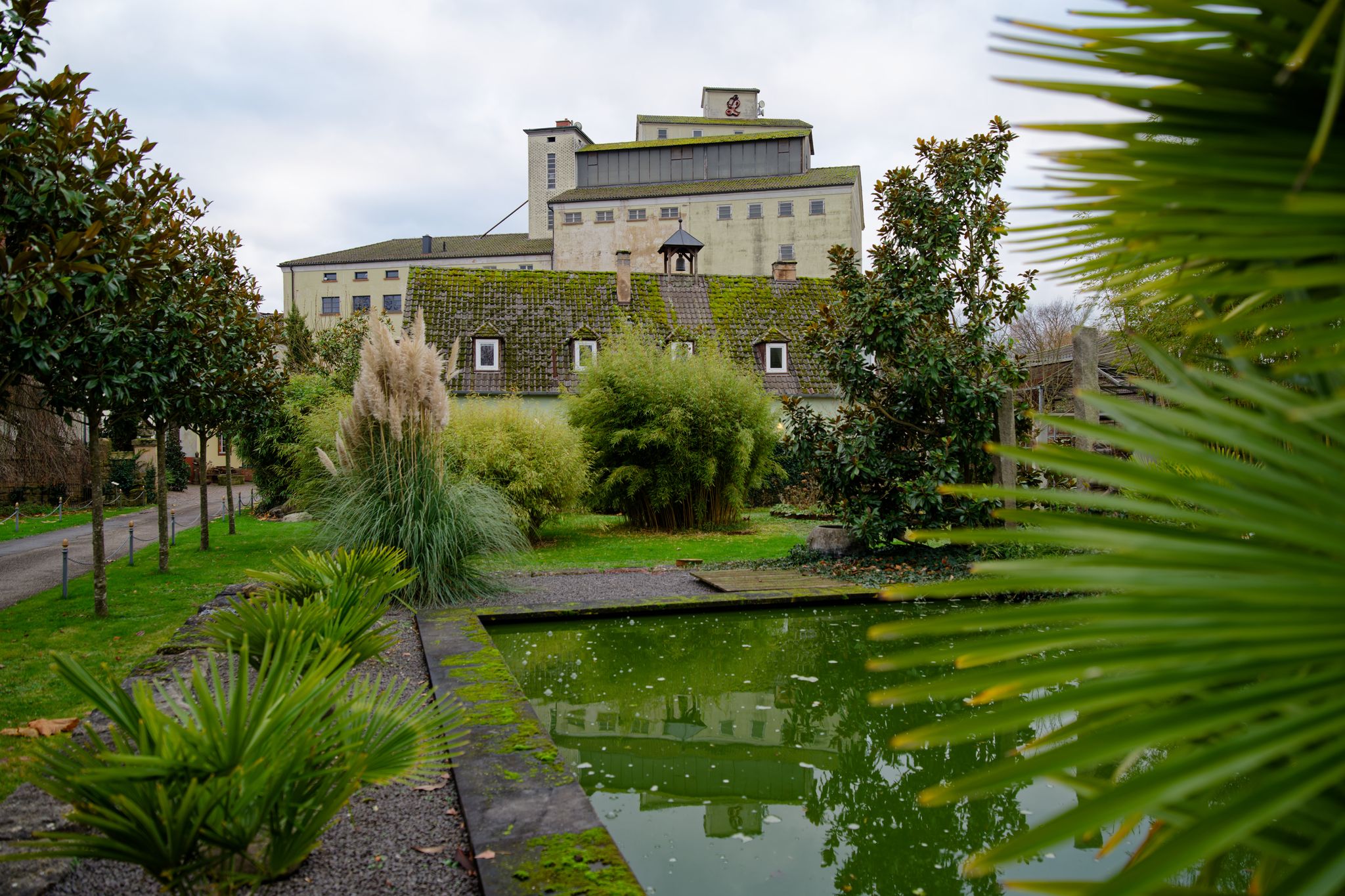 Sammlung von Weltenbummler Rox-Schulz erhält neuen Platz
