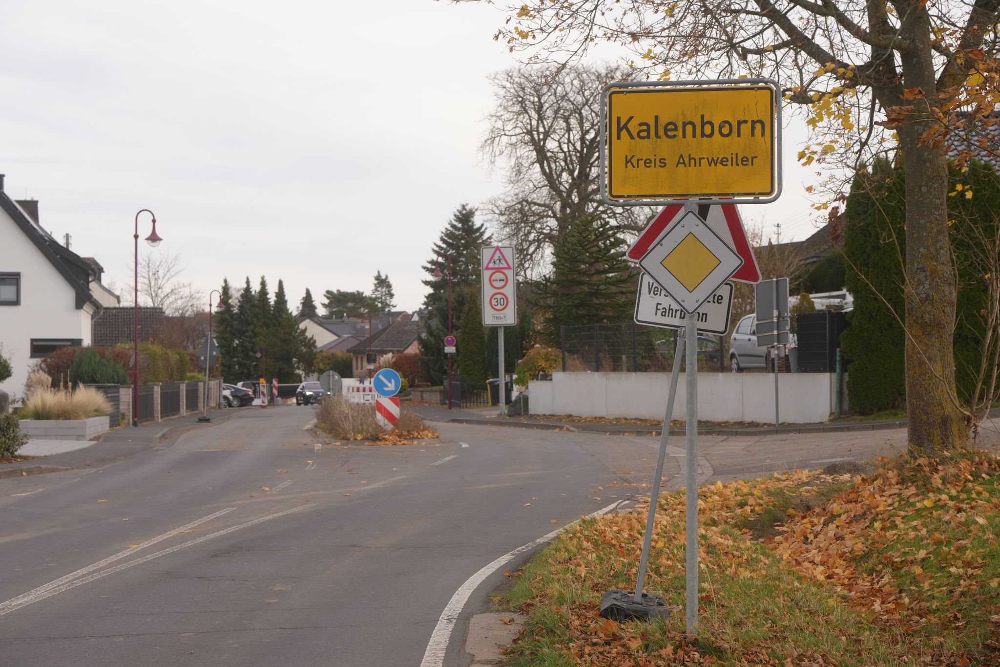 Doch keine Großkatze in Altenahr – Labor gibt Entwarnung