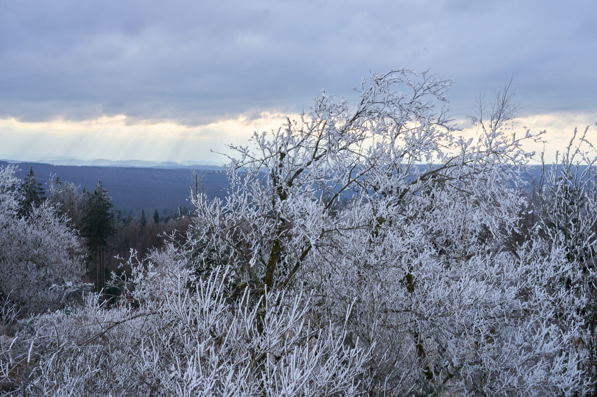 Teils Glätte und Schnee in Rheinland-Pfalz und dem Saarland