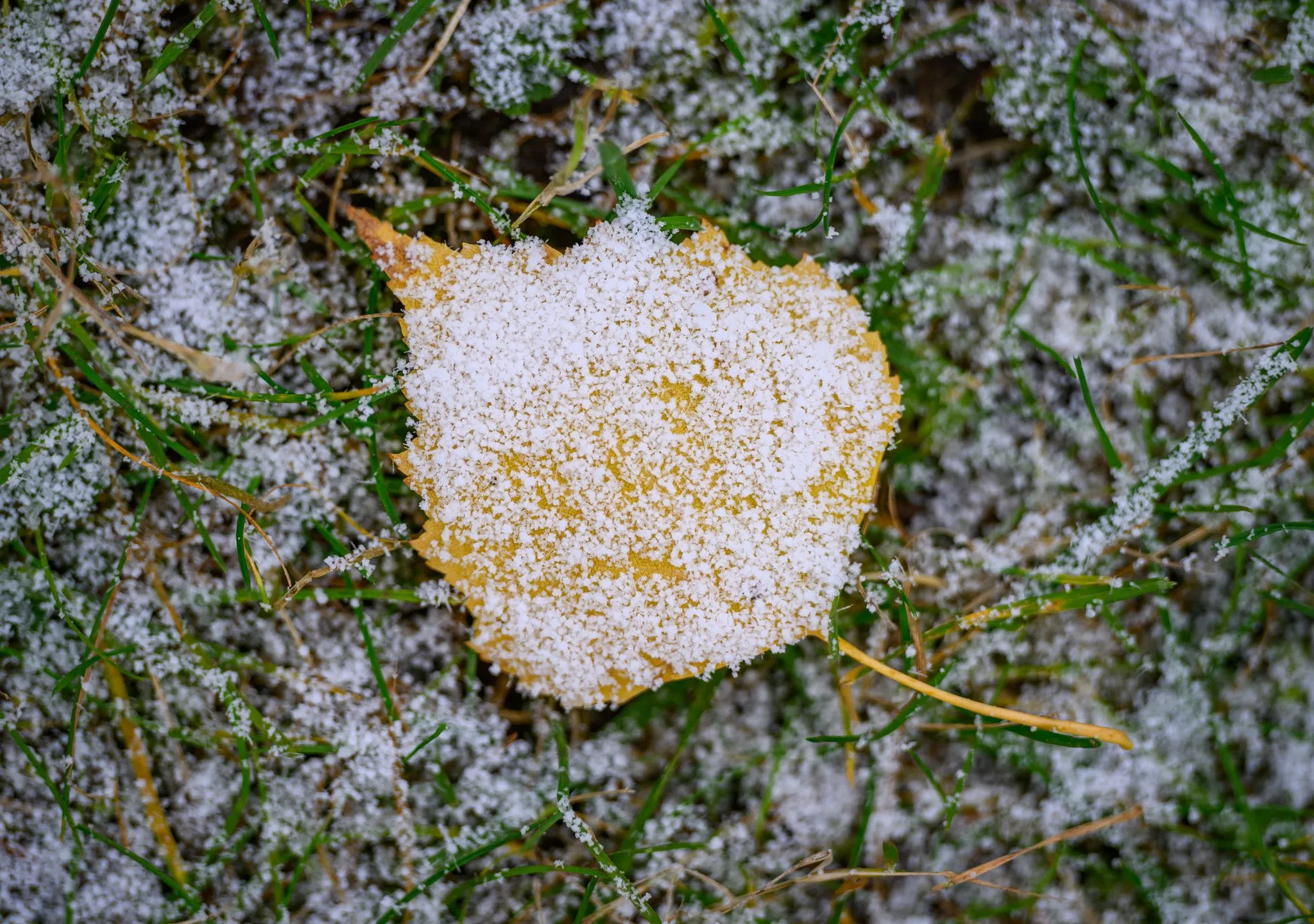 Eisige Woche startet mit Schnee und Frost im Südwesten