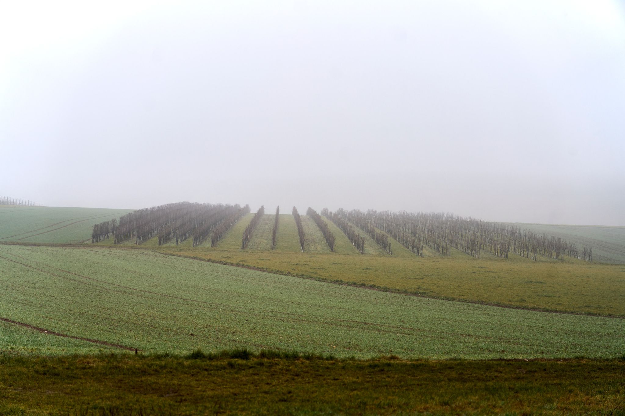 Trockener Januar in Rheinland-Pfalz