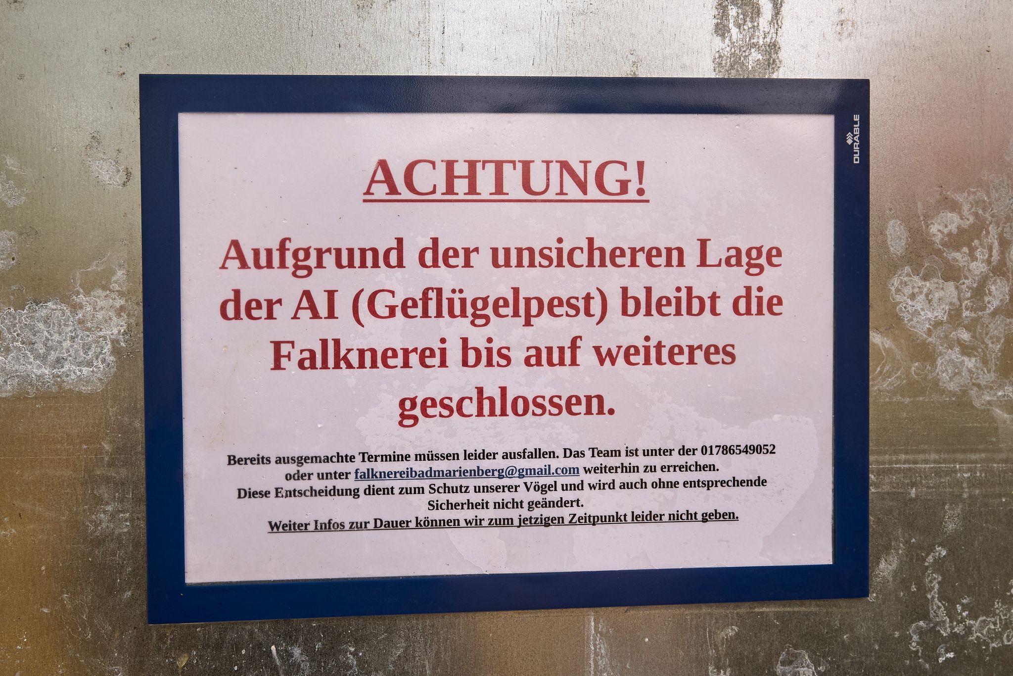 Warum die Vogelgrippe in Rheinland-Pfalz ein Risiko bleibt