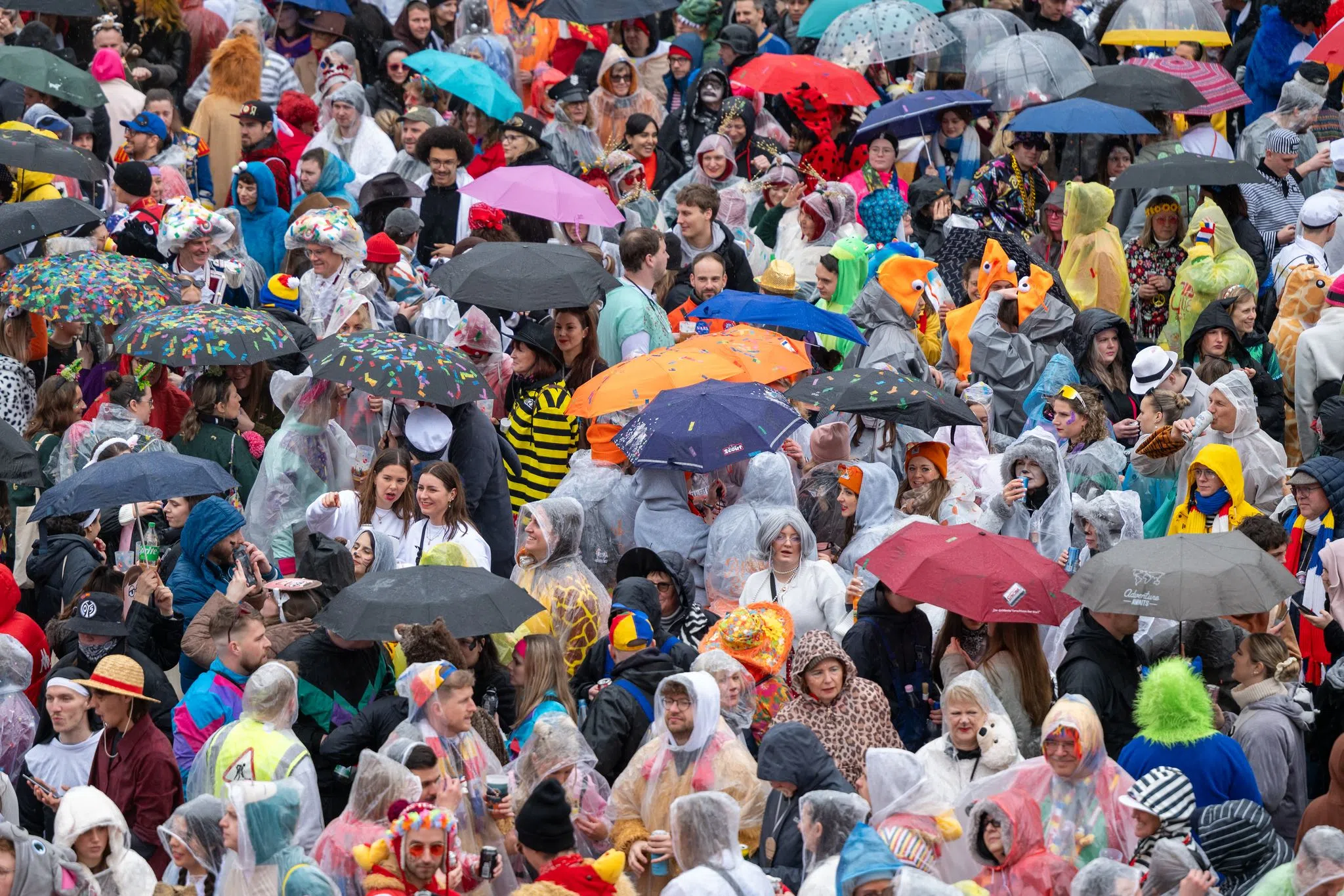 Welche Kostüme die Narren 2026 wählen